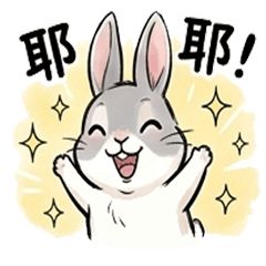 Fluffy Bunny's Daily Expressions