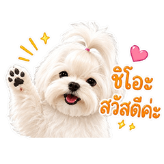 Shio's Good Days Bigsticker