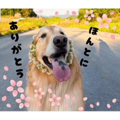 momo_20260718171054