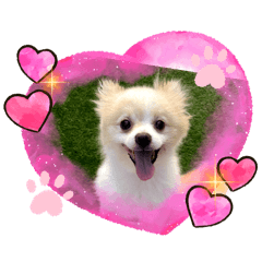 yun_20260718163458