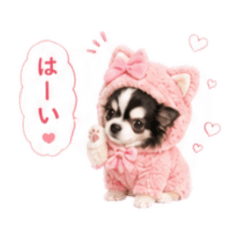 momo_20260716112940