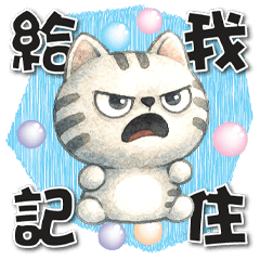《超開心生活對話》★貢丸★