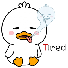 Topknot Duck (ENG)