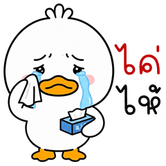 Topknot Duck (Kum-muang)