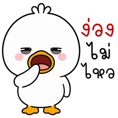 Topknot Duck (THAI)
