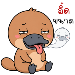 Naughty Platypus (Kum-muang)
