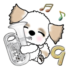 Shih Tzu dog (Brass band club) vol.9