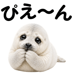 ずっと使えるアザラシ