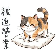 QQQQQQQQQQQQQcalico cat3