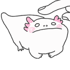 DuanDuan Dog: Nice to Meet You