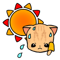 茶トラモア １ 夏を感じるスタンプ