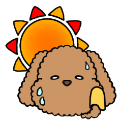愛しのトイプー　１　夏を感じるスタンプ