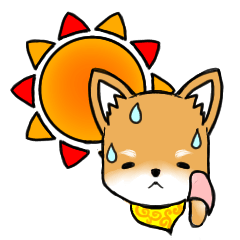 愛しの柴犬　１　夏を感じるスタンプ