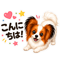 Daisy the Papillon (Japanese)