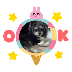 yuka_20260719170932