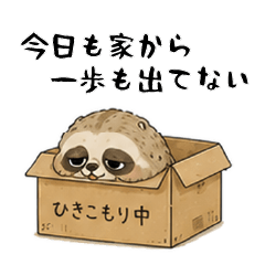 Unemployed slow loris-2