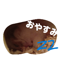 hana_20260719192237