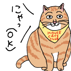 HOUSE CATS CLUB and Orneko