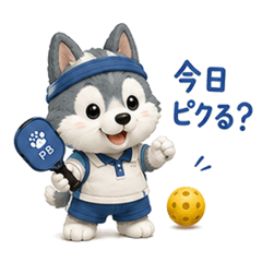 1.Meetup & Planning - Pickleball Husky