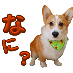 kazumi_20260720035636