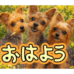 HANA_20260720060836