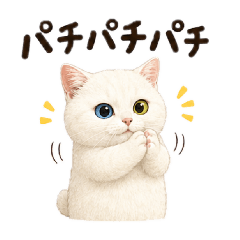 HANA_20260718011646