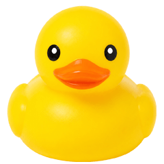 Duckling Basics