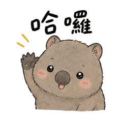 卡哇依的袋熊日常