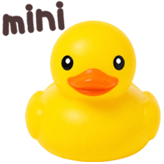 mini Duckling Basics