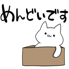 面倒くさがる素直な猫