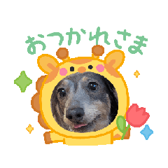 hana_20260720110933