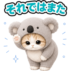 Cat Costume Reactions (JP) 93