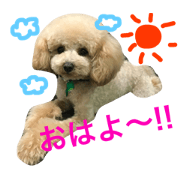 riku coco life