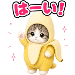 Cat Costume Reactions (JP) 95