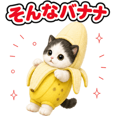 Cat Costume Reactions (JP) 97