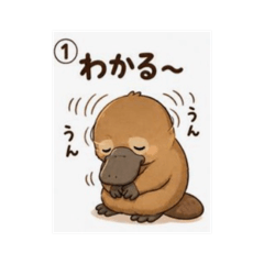 momo_20260718211505