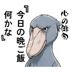 hasibirokou3
