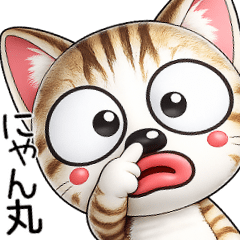 A cat you can use forever