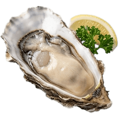 BIG! Oyster live action