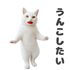 *Moving Glaring Cat