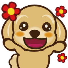 Animated! Round & Cute Maltipoo