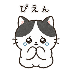 Uchi no Ko Biyori | Black & White Cat
