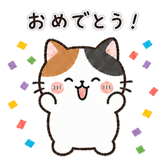 Uchi no Ko Biyori | Calico Cat
