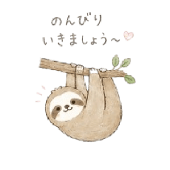 relaxed sloth: everyday use