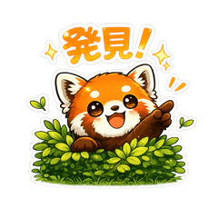 kyarako_20260719160536