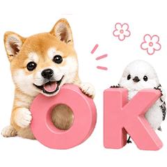 毎日使える！ほんわか柴犬とシマエナガ