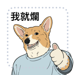 Corgi memes
