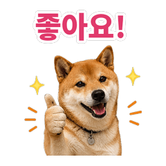 Shiba Inu Mood Diary Korean version