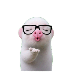 Smol nerdy piggo