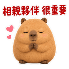 Mofu Kapi: Matchmaking Report TW